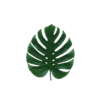 Natural Cares Hub
